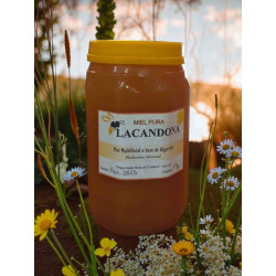 Miel pura  de monte de La Candona